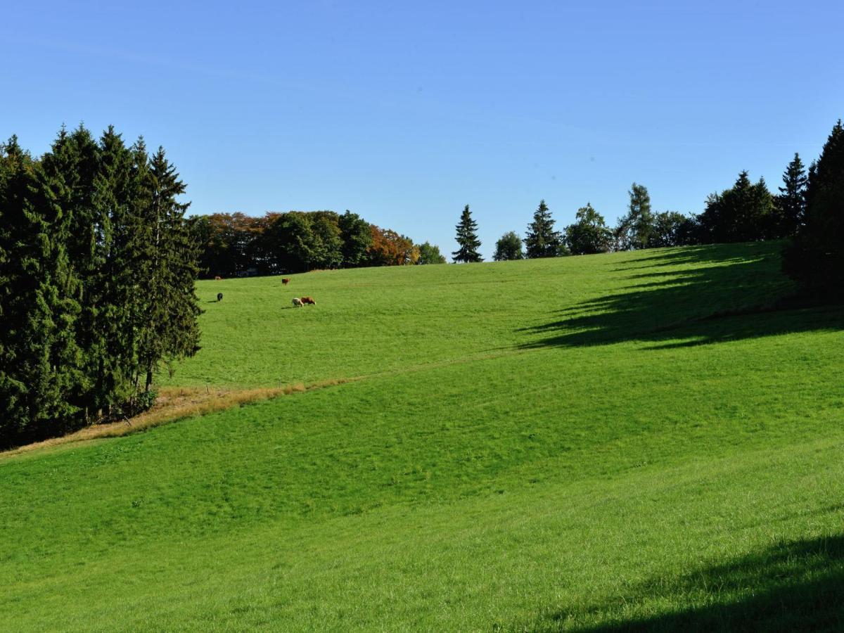 Holiday In The Sauerland Region In Unique Location Willingen  Εξωτερικό φωτογραφία